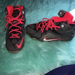 LeBron Nike Sneakers